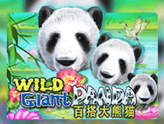 Wild Giant Panda game icon